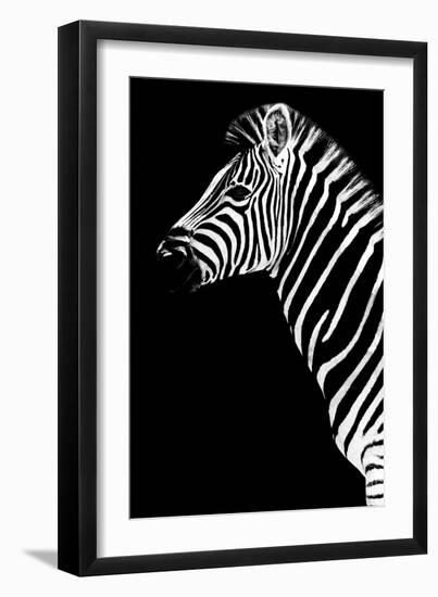 Safari Profile Collection - Zebra Black Edition III-Philippe Hugonnard-Framed Photographic Print