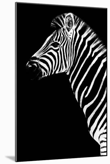 Safari Profile Collection - Zebra Black Edition III-Philippe Hugonnard-Mounted Photographic Print