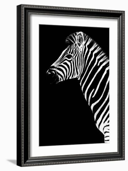 Safari Profile Collection - Zebra Black Edition III-Philippe Hugonnard-Framed Photographic Print