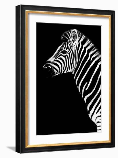 Safari Profile Collection - Zebra Black Edition III-Philippe Hugonnard-Framed Photographic Print