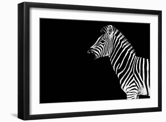 Safari Profile Collection - Zebra Black Edition-Philippe Hugonnard-Framed Photographic Print