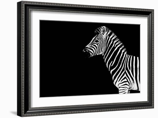 Safari Profile Collection - Zebra Black Edition-Philippe Hugonnard-Framed Photographic Print