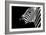 Safari Profile Collection - Zebra Portrait Black Edition II-Philippe Hugonnard-Framed Photographic Print