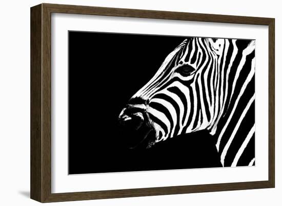 Safari Profile Collection - Zebra Portrait Black Edition II-Philippe Hugonnard-Framed Photographic Print