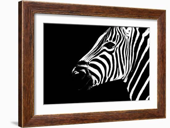 Safari Profile Collection - Zebra Portrait Black Edition II-Philippe Hugonnard-Framed Photographic Print