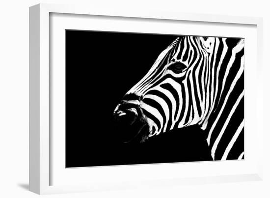 Safari Profile Collection - Zebra Portrait Black Edition II-Philippe Hugonnard-Framed Photographic Print