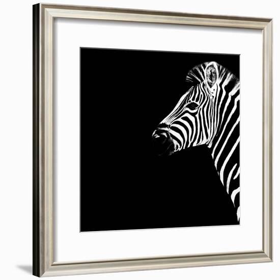 Safari Profile Collection - Zebra Portrait Black Edition III-Philippe Hugonnard-Framed Photographic Print