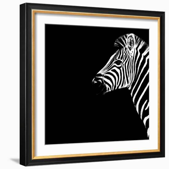 Safari Profile Collection - Zebra Portrait Black Edition III-Philippe Hugonnard-Framed Photographic Print