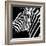 Safari Profile Collection - Zebra Portrait Black Edition-Philippe Hugonnard-Framed Photographic Print