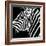Safari Profile Collection - Zebra Portrait Black Edition-Philippe Hugonnard-Framed Photographic Print