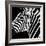 Safari Profile Collection - Zebra Portrait Black Edition-Philippe Hugonnard-Framed Photographic Print