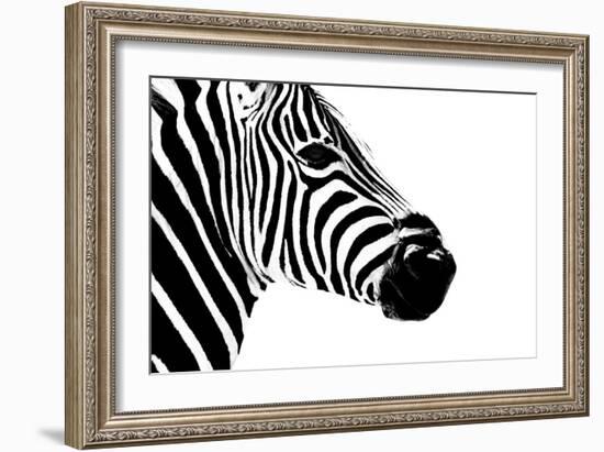Safari Profile Collection - Zebra Portrait White Edition II-Philippe Hugonnard-Framed Photographic Print