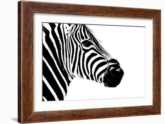 Safari Profile Collection - Zebra Portrait White Edition II-Philippe Hugonnard-Framed Photographic Print