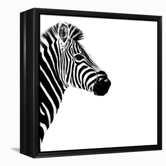 Safari Profile Collection - Zebra Portrait White Edition III-Philippe Hugonnard-Framed Premier Image Canvas