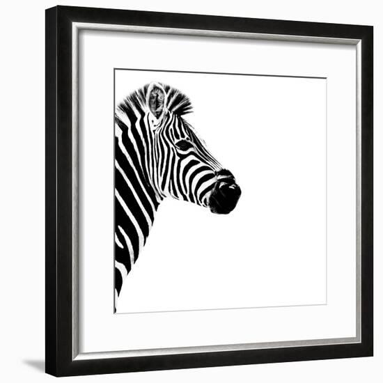 Safari Profile Collection - Zebra Portrait White Edition III-Philippe Hugonnard-Framed Photographic Print