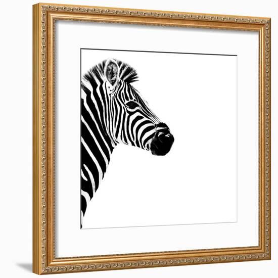 Safari Profile Collection - Zebra Portrait White Edition III-Philippe Hugonnard-Framed Photographic Print