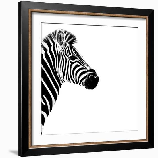 Safari Profile Collection - Zebra Portrait White Edition III-Philippe Hugonnard-Framed Photographic Print