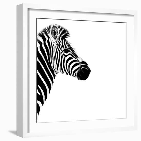 Safari Profile Collection - Zebra Portrait White Edition III-Philippe Hugonnard-Framed Photographic Print