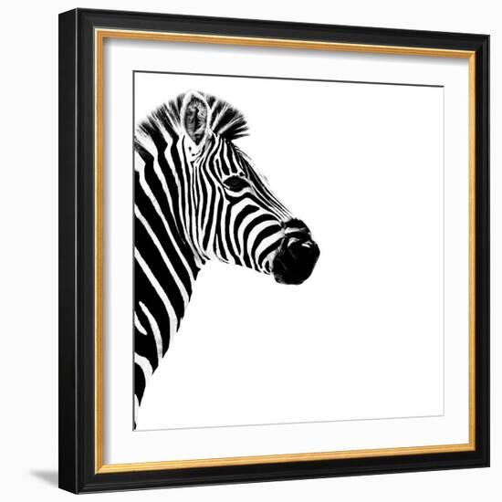 Safari Profile Collection - Zebra Portrait White Edition III-Philippe Hugonnard-Framed Photographic Print