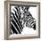 Safari Profile Collection - Zebra Portrait White Edition-Philippe Hugonnard-Framed Photographic Print