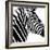 Safari Profile Collection - Zebra Portrait White Edition-Philippe Hugonnard-Framed Photographic Print