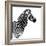 Safari Profile Collection - Zebra White Edition II-Philippe Hugonnard-Framed Photographic Print