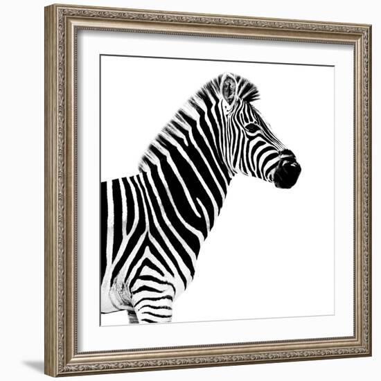 Safari Profile Collection - Zebra White Edition II-Philippe Hugonnard-Framed Photographic Print