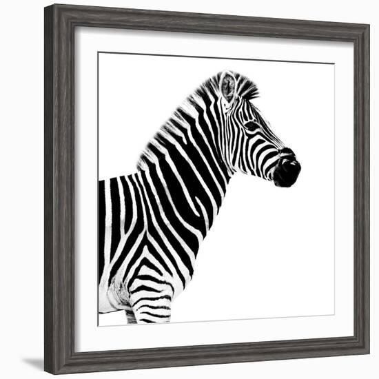 Safari Profile Collection - Zebra White Edition II-Philippe Hugonnard-Framed Photographic Print