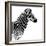 Safari Profile Collection - Zebra White Edition II-Philippe Hugonnard-Framed Photographic Print