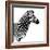 Safari Profile Collection - Zebra White Edition II-Philippe Hugonnard-Framed Photographic Print