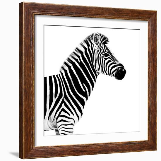 Safari Profile Collection - Zebra White Edition II-Philippe Hugonnard-Framed Photographic Print