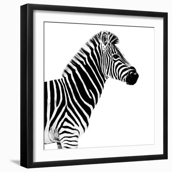 Safari Profile Collection - Zebra White Edition II-Philippe Hugonnard-Framed Photographic Print