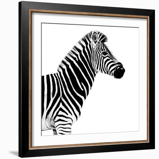 Safari Profile Collection - Zebra White Edition II-Philippe Hugonnard-Framed Photographic Print