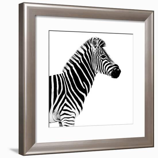 Safari Profile Collection - Zebra White Edition II-Philippe Hugonnard-Framed Photographic Print