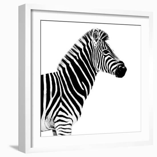 Safari Profile Collection - Zebra White Edition II-Philippe Hugonnard-Framed Photographic Print