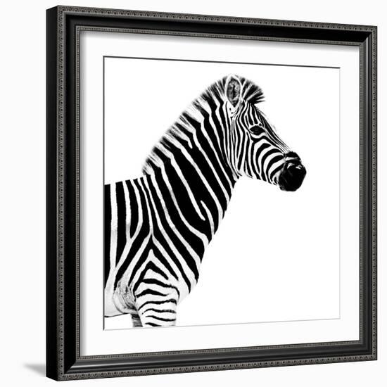 Safari Profile Collection - Zebra White Edition II-Philippe Hugonnard-Framed Photographic Print