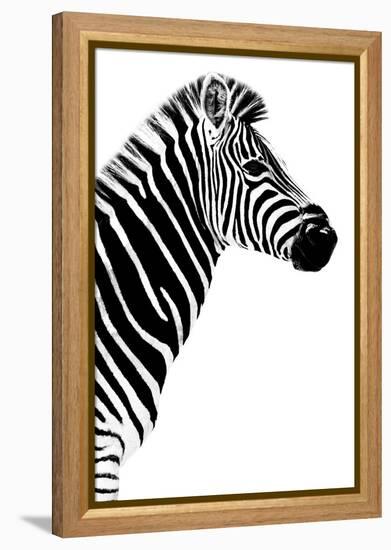 Safari Profile Collection - Zebra White Edition III-Philippe Hugonnard-Framed Premier Image Canvas