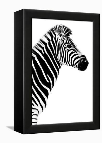 Safari Profile Collection - Zebra White Edition III-Philippe Hugonnard-Framed Premier Image Canvas