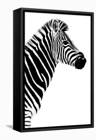 Safari Profile Collection - Zebra White Edition III-Philippe Hugonnard-Framed Premier Image Canvas