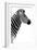 Safari Profile Collection - Zebra White Edition III-Philippe Hugonnard-Framed Premium Photographic Print