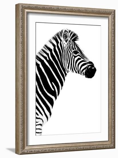 Safari Profile Collection - Zebra White Edition III-Philippe Hugonnard-Framed Photographic Print