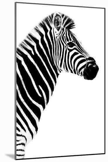 Safari Profile Collection - Zebra White Edition III-Philippe Hugonnard-Mounted Photographic Print