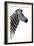 Safari Profile Collection - Zebra White Edition III-Philippe Hugonnard-Framed Photographic Print