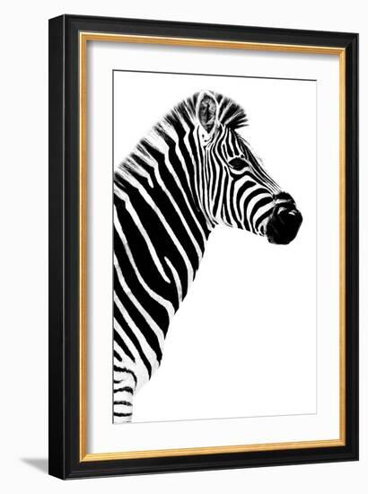 Safari Profile Collection - Zebra White Edition III-Philippe Hugonnard-Framed Photographic Print