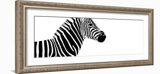 Safari Profile Collection - Zebra White Edition IV-Philippe Hugonnard-Framed Photographic Print