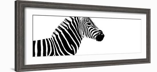 Safari Profile Collection - Zebra White Edition IV-Philippe Hugonnard-Framed Photographic Print