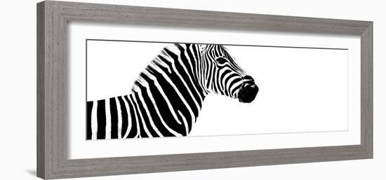 Safari Profile Collection - Zebra White Edition IV-Philippe Hugonnard-Framed Photographic Print