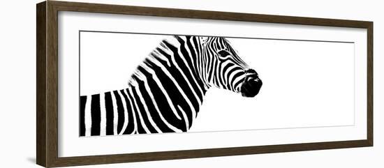 Safari Profile Collection - Zebra White Edition IV-Philippe Hugonnard-Framed Photographic Print