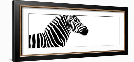 Safari Profile Collection - Zebra White Edition IV-Philippe Hugonnard-Framed Photographic Print