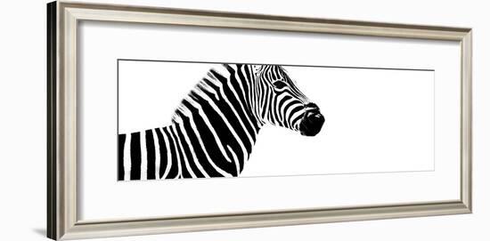 Safari Profile Collection - Zebra White Edition IV-Philippe Hugonnard-Framed Photographic Print